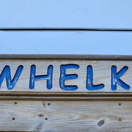 Whelk #22B-Cac Villa